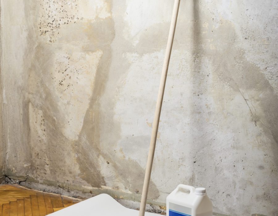 Tools for painting (roller, brush, gloves, paint), located at the wall and ready for repair in the room